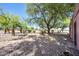 Tranquil backyard featuring various trees, cacti, and shrubs with shaded ground cover at 17705 E Canyon Way, Gilbert, AZ 85298