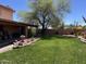 Green backyard with a large tree, manicured lawn, and landscaping bordering a covered patio at 17705 E Canyon Way, Gilbert, AZ 85298