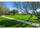 Beautiful park with a walking path lined by mature trees and a sprawling green lawn at 1805 W Dusty Wren Dr, Phoenix, AZ 85085