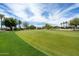 Expansive view of a well-maintained golf course with lush green fairways and palm trees under a bright sky at 20900 N Vista Trl, Surprise, AZ 85387