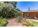 Charming backyard landscape with lush greenery, flowering bushes, and desert plants near the brick home at 3131 E Las Rocas Dr, Phoenix, AZ 85028