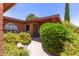 Charming walkway leading to a home entrance, framed by vibrant flowers and lush greenery at 3131 E Las Rocas Dr, Phoenix, AZ 85028