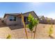 A fenced in backyard with a gravel ground covering and growing desert foliage at 4034 W Nora Dr, San Tan Valley, AZ 85144