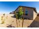 A fenced in backyard with a gravel ground covering and growing desert foliage at 4034 W Nora Dr, San Tan Valley, AZ 85144