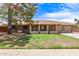 Charming single-story home with a well-maintained lawn and mature tree in a sunny, residential neighborhood at 4107 W Campo Bello Dr, Glendale, AZ 85308