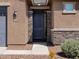 Close-up of the front door entrance, with stone accents and desert landscaping at 41800 W Sonoran Trl, Maricopa, AZ 85138