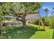 Backyard treehouse featuring multiple levels and wood construction set on a green lawn at 4216 N 20Th St, Phoenix, AZ 85016