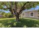 An expansive backyard with a large treehouse and ample space to play at 4216 N 20Th St, Phoenix, AZ 85016