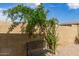 A serene backyard bench setting under the shade of a lovely flowering tree at 4387 E Hartford Ave, Phoenix, AZ 85032