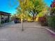 Lush backyard featuring flowering trees, comfortable seating area, and a cozy fire pit at 4901 W Corrine Dr, Glendale, AZ 85304