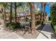 Community pool and lounge area surrounded by lush landscaping and tall palm trees at 6940 E Cochise Rd # 1027, Paradise Valley, AZ 85253
