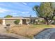 Charming single-story home featuring a welcoming front yard with beautiful mature landscaping at 9221 N Camino Vista Ln, Phoenix, AZ 85028