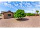 Spacious backyard with desert landscaping and privacy wall at , Mesa, AZ 85206