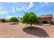 Home with low-maintenance backyard, featuring gravel landscaping and mature shade trees at 2245 Leisure World --, Mesa, AZ 85206