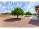 Low maintenance backyard featuring desert landscaping and mature trees for shade at 2245 Leisure World --, Mesa, AZ 85206