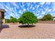 Backyard with mature trees and desert landscaping, providing a serene outdoor space at 2245 Leisure World --, Mesa, AZ 85206