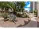 The landscaped common area features a variety of lush plants and trees, with walking paths throughout at 1006 E Osborn Rd # B, Phoenix, AZ 85014