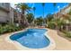Inviting outdoor pool surrounded by palm trees and landscaping, ideal for relaxation and recreation at 1006 E Osborn Rd # B, Phoenix, AZ 85014