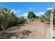 Spacious backyard offers desert landscaping, mature trees, and a storage shed at 1120 S Valley Dr, Apache Junction, AZ 85120