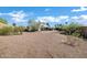 Expansive backyard features desert landscaping, mature trees, and a covered patio at 1120 S Valley Dr, Apache Junction, AZ 85120