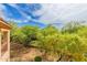 Scenic view from upper-level balcony with trees and blue sky at 16801 N 94Th St # 2056, Scottsdale, AZ 85260