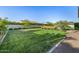 Spacious backyard with lush green lawn, well manicured plants, and a calming ambiance at 17690 E Bronco Dr, Queen Creek, AZ 85142