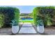 Backyard showing pool view framed by manicured hedges and potted plants at 17690 E Bronco Dr, Queen Creek, AZ 85142