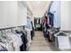 Spacious walk-in closet with built-in shelving and hanging racks for optimal organization at 17690 E Bronco Dr, Queen Creek, AZ 85142