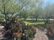 Lush community landscaping featuring native plants and trees, creating a serene environment at 18225 N 66Th Way, Phoenix, AZ 85054