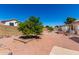 Outdoor space with a mature citrus tree, low maintenance gravel, and block wall fencing at 2356 N Glenview --, Mesa, AZ 85213