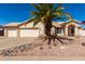Charming single-story home with a three car garage, desert landscaping and a mature palm tree at 2356 N Glenview --, Mesa, AZ 85213