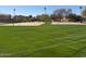 Community basketball and sand volleyball courts providing recreational opportunities at 2358 E Peach Tree Dr, Chandler, AZ 85249