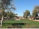 Well-manicured community park offering green space, shade structures, and a relaxed environment at 2358 E Peach Tree Dr, Chandler, AZ 85249