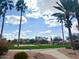 Scenic community park featuring a basketball court, volleyball net, grassy area, and tall palm trees under a bright sky at 2358 E Peach Tree Dr, Chandler, AZ 85249