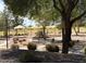Neighborhood playground area featuring swing sets, slides, shade structures, a bench, and mature trees and shrubs at 2358 E Peach Tree Dr, Chandler, AZ 85249