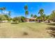 Lush backyard with mature trees and manicured lawn, offering a serene and private space at 4442 E Redfield Rd, Phoenix, AZ 85032