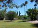 Expansive backyard with well-maintained lawn, mature trees, offering a serene and private outdoor space at 4442 E Redfield Rd, Phoenix, AZ 85032