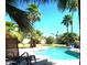 Inviting backyard pool surrounded by lush greenery and palm trees, perfect for relaxation and outdoor enjoyment at 4442 E Redfield Rd, Phoenix, AZ 85032