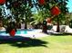 Lush backyard with inviting pool, mature citrus, landscaping, and shaded seating areas for outdoor enjoyment at 4442 E Redfield Rd, Phoenix, AZ 85032