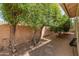 Cozy backyard with mature trees and crushed gravel at 5936 W Via Montoya Dr, Glendale, AZ 85310