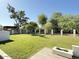 Large grassy backyard area with a fence, planter boxes, and mature trees at 856 E Village Cir S Dr, Phoenix, AZ 85022