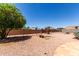 Spacious backyard with gravel, mature tree, and block fence at 962 S Main Dr, Apache Junction, AZ 85120
