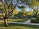 Community park featuring mature trees, green grass, and pedestrian walkways for leisurely strolls at 18025 N 65Th Pl, Phoenix, AZ 85054