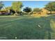 Expansive community green space with manicured lawn and recreational features such as a ball and bat at 18025 N 65Th Pl, Phoenix, AZ 85054