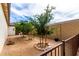 Backyard with desert landscaping, decorative rocks, privacy wall, and young trees for a tranquil outdoor space at 19858 W San Juan Ave, Litchfield Park, AZ 85340