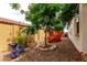 Charming backyard with desert landscaping, flowering plants, and lush trees at 19858 W San Juan Ave, Litchfield Park, AZ 85340