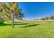 Expansive green space perfect for recreation, featuring mature trees and lush grass on a bright, sunny day at 36480 W El Greco St, Maricopa, AZ 85138