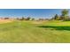 Lush community recreational area featuring a disc golf basket, providing a great space for outdoor activities at 36480 W El Greco St, Maricopa, AZ 85138