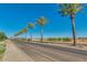 Street view showcasing palm trees lining the road and the sidewalk in the Tortosa community on a sunny day at 36480 W El Greco St, Maricopa, AZ 85138