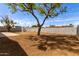 Spacious backyard featuring a mature tree, offering ample space for outdoor activities and enjoyment at 3826 W Davidson Ln, Phoenix, AZ 85051